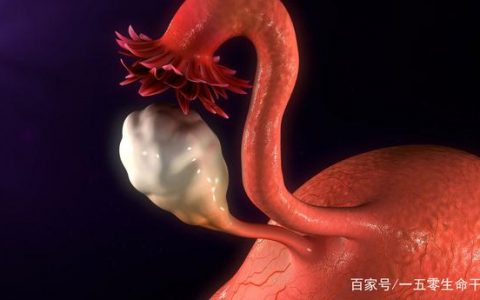 9例卵巢早衰患者通过干细胞干预，6例相关指标恢复，1例成功受孕