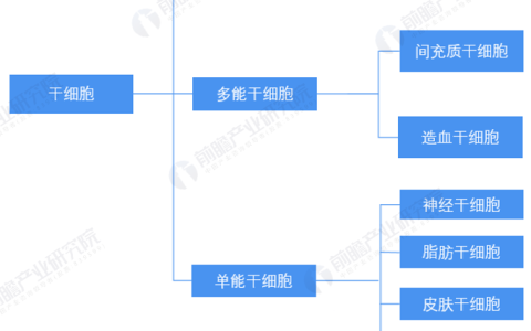 《2022年中国干细胞医疗产业全景图谱》(附市场规模、竞争格局和发展前景等)