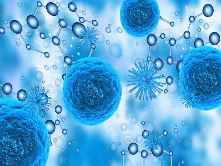 干细胞和免疫细胞在实际应用中该如何选择
