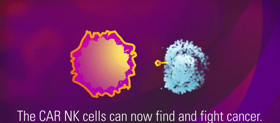 人类高质量细胞——免疫细胞