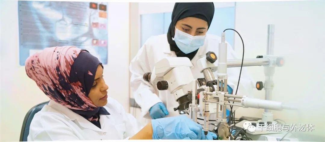 QUINT创始人捐赠1.1亿元在迪拜建立干细胞医疗中心