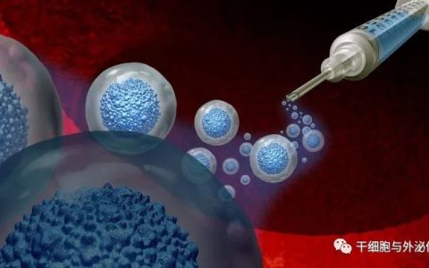 干细胞移植如何重置我们的免疫系统