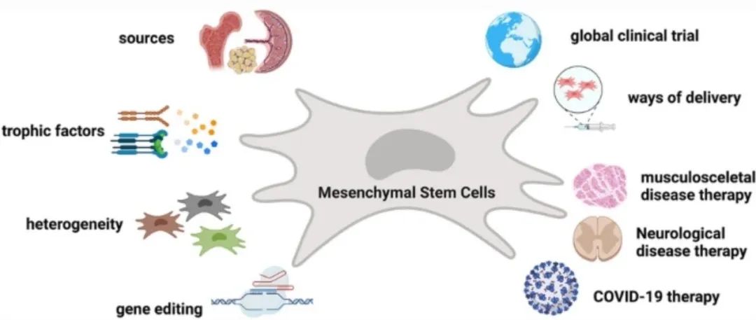 全球间充质干细胞治疗发展趋势概述