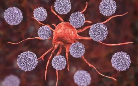 免疫系统衰退的危害，免疫细胞与干细胞如何助力？