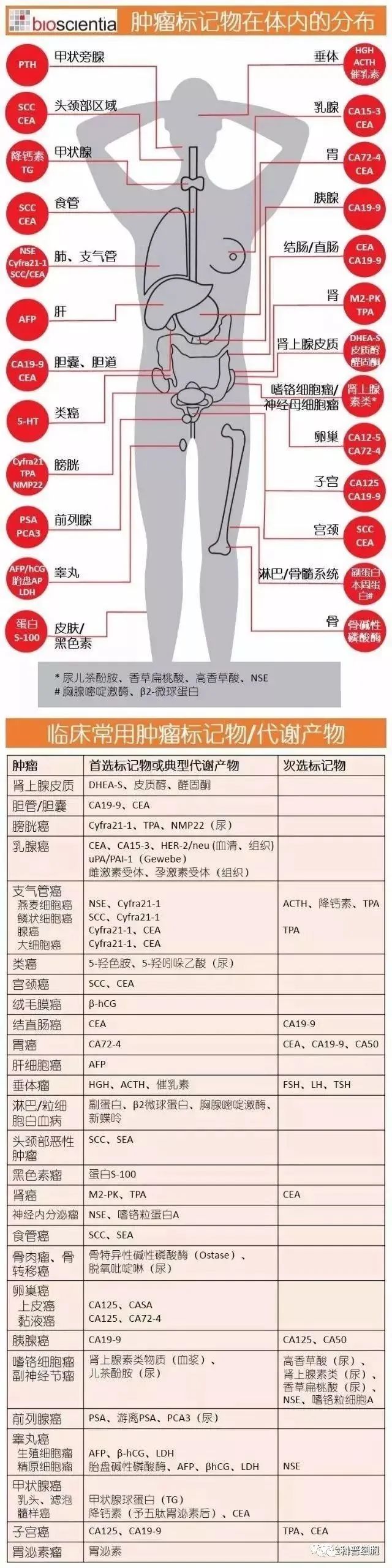 史上最全肿瘤标志物解读攻略，高一点也没关系，别再担惊受怕！