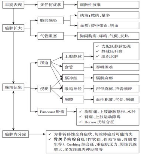 【肺癌手册】关于肺癌的症状、分期、治疗方案和生存率，这篇文总结全了！