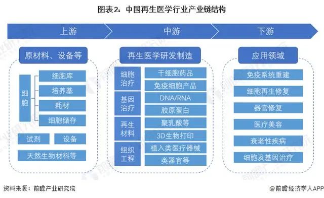 预见2023：《2023年中国再生医学行业全景图谱》(附市场规模、竞争格局和发展趋势)