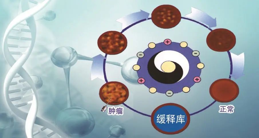 肿瘤的分类与免疫治疗