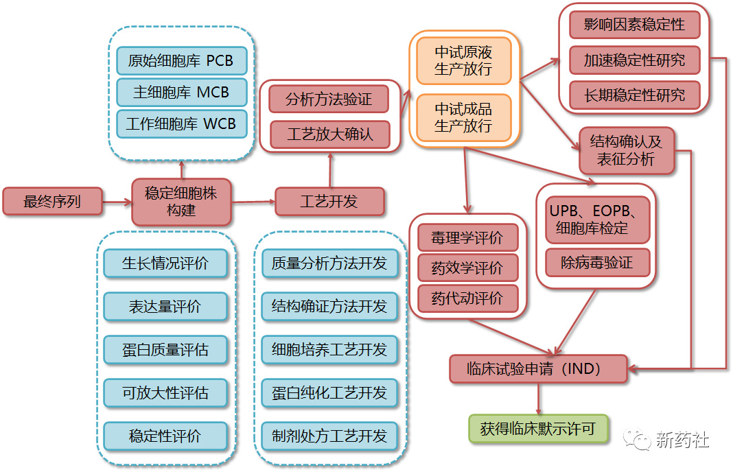 药物研发全流程图图谱