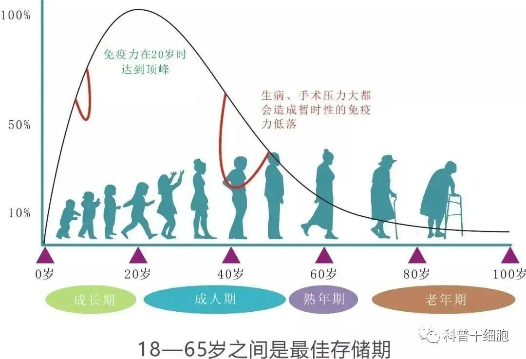 70岁与20岁的免疫细胞有何区别？