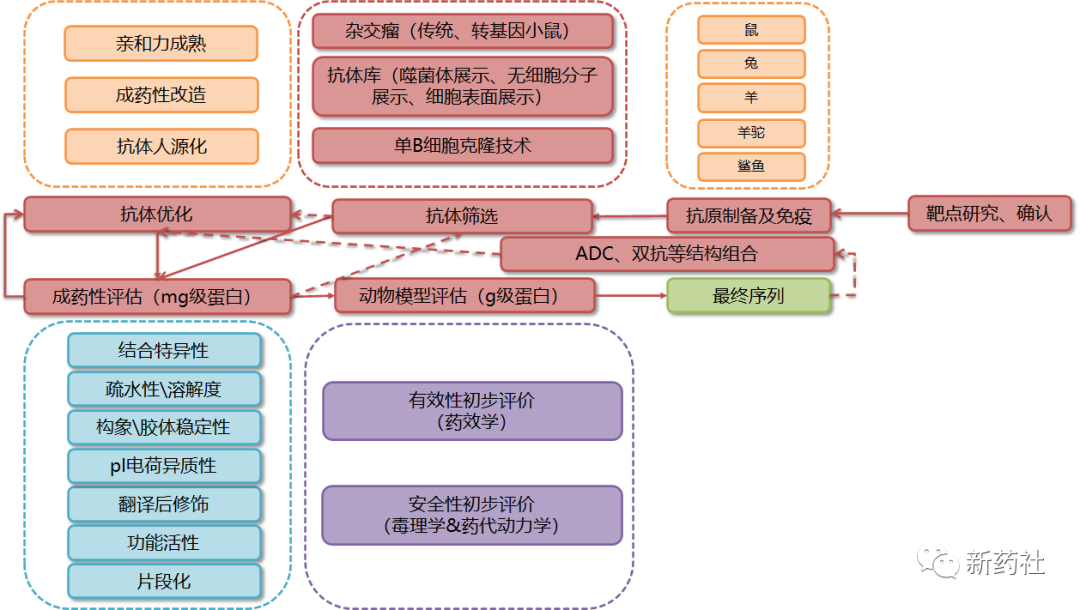 药物研发全流程图图谱