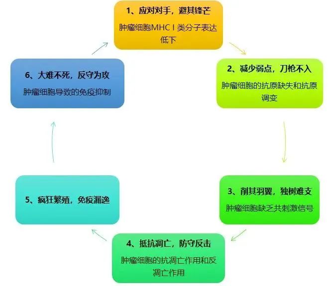 肿瘤的分类与免疫治疗