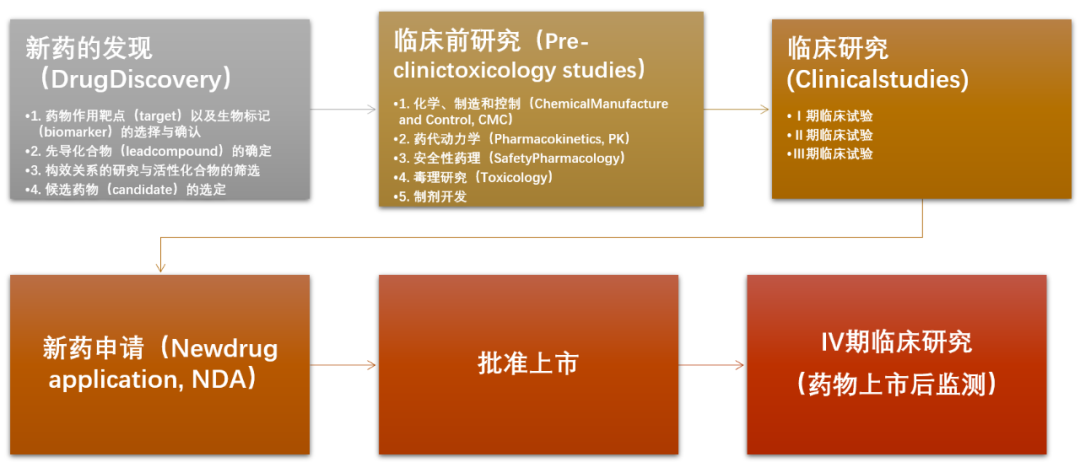 药物研发全流程图图谱