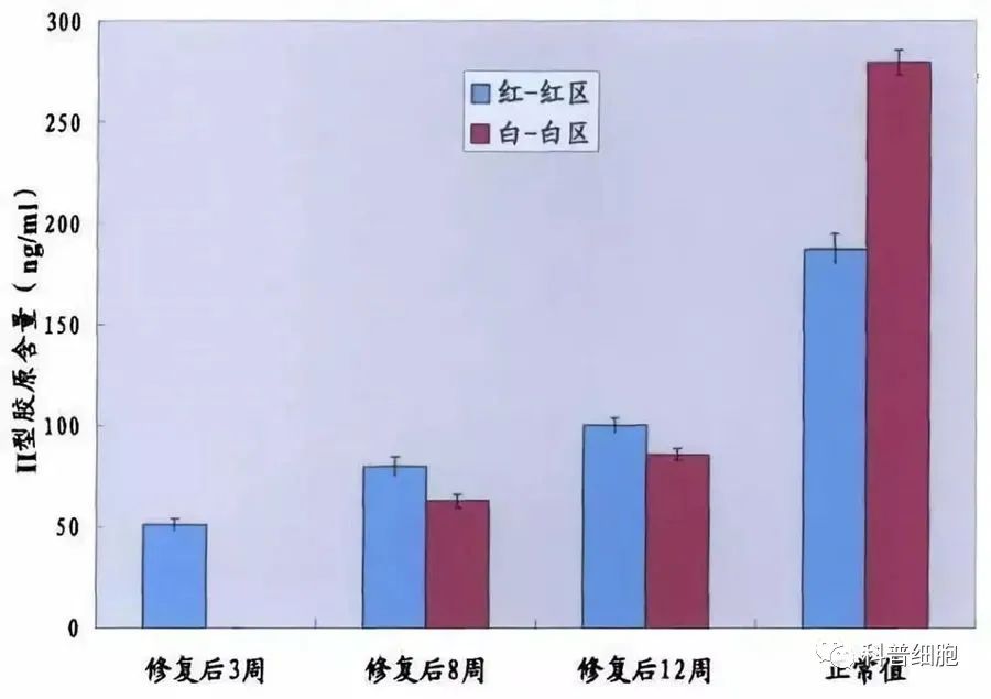 干细胞技术干预半月板损伤临床效果显著