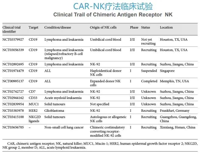 一个NK细胞可消灭27个癌细胞？原来NK才是癌症“天敌”！