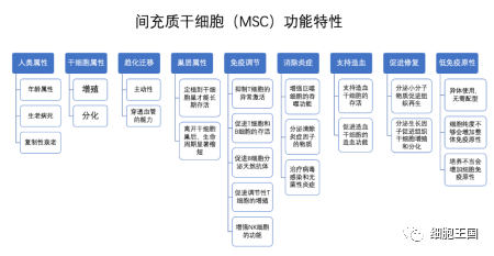 答疑解惑，干细胞应用必需要了解的 7 个问题