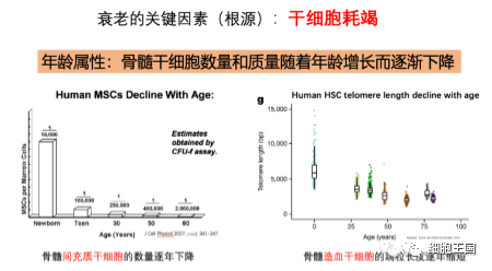 答疑解惑，干细胞应用必需要了解的 7 个问题