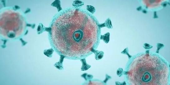 免疫细胞对人体健康的八大作用