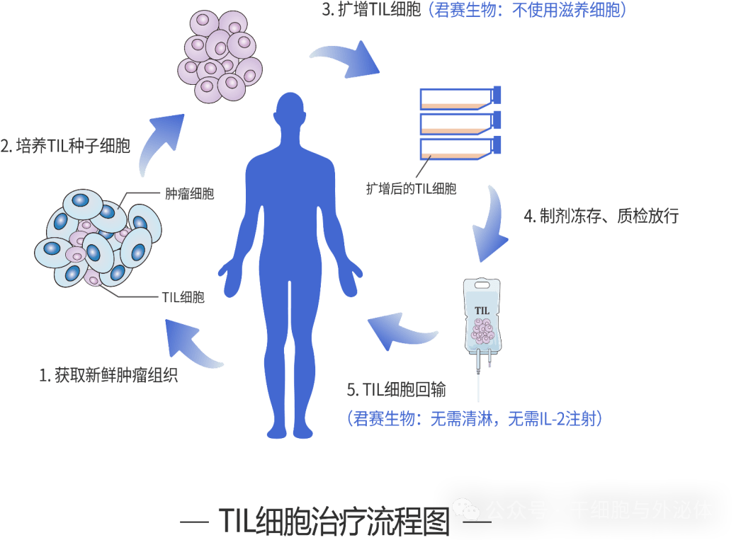 370万天价细胞疗法！中国首款TIL细胞疗法来了，启动临床招募！