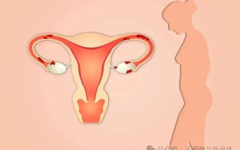 112项研究表明间充质干细胞可以逆转卵巢损伤和衰老