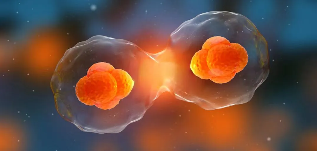 回输一次干细胞为抗衰老，能保持多久的效果？