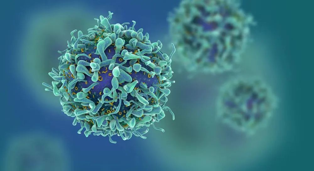 免疫细胞治疗带来无癌生存10年奇迹，疗效长期存在！晚期、复发也能逆袭！