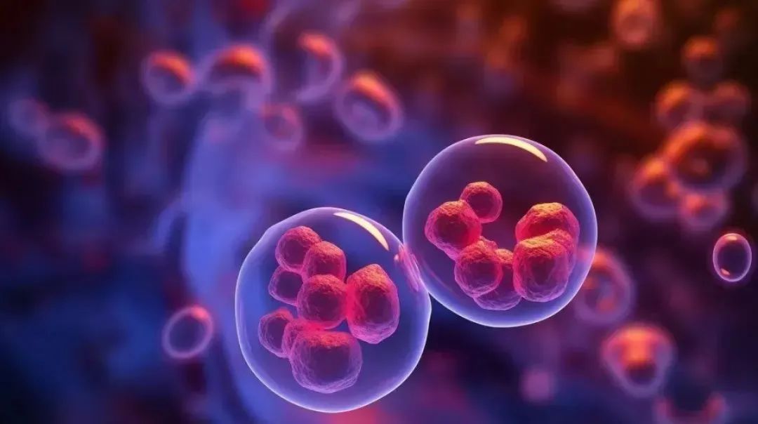 盘点干细胞修复卵巢的五大临床成果