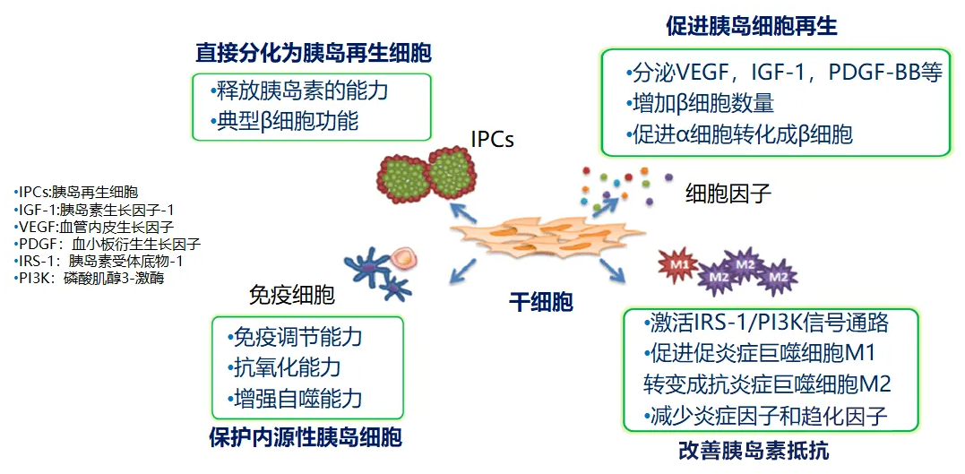 上海长征医院完成世界首例，自体内胚层干细胞来源胰岛组织治疗Ⅱ型糖尿病