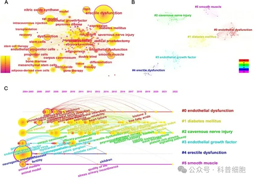3.22亿患者受益？524篇研究解析，干细胞疗法有效改善男性勃起功能障碍