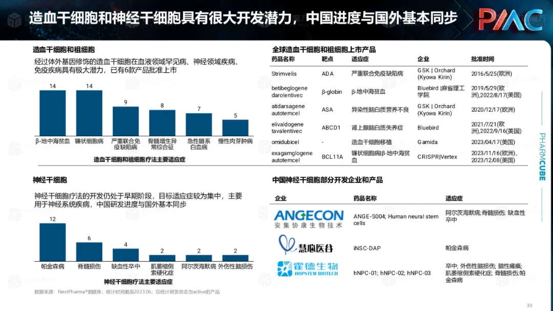 中国CGT行业发展趋势与挑战报告