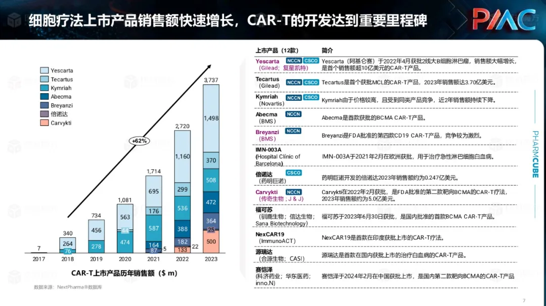 中国CGT行业发展趋势与挑战报告