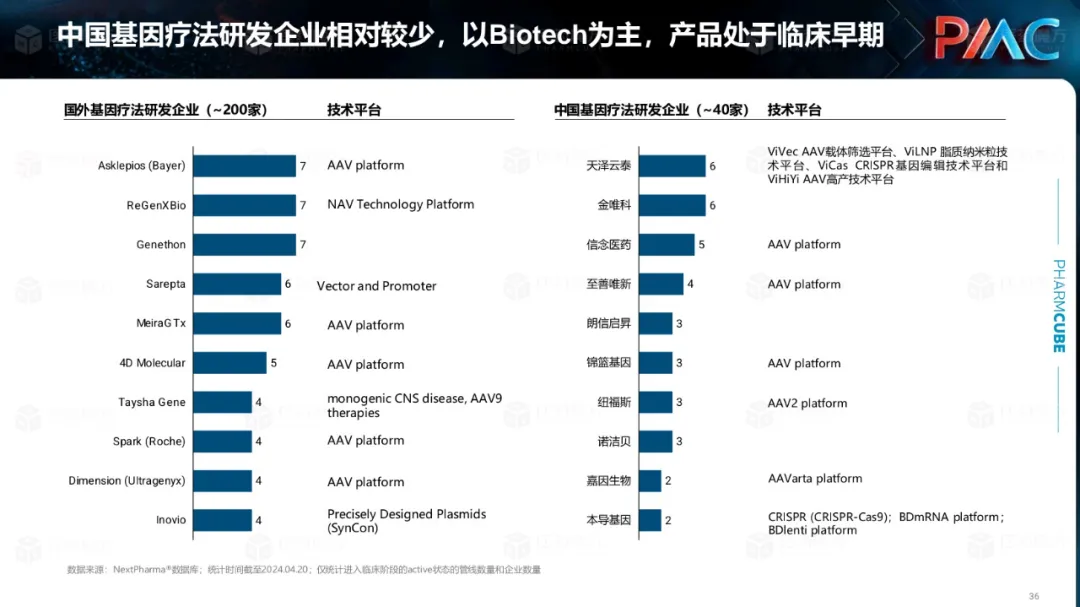 中国CGT行业发展趋势与挑战报告