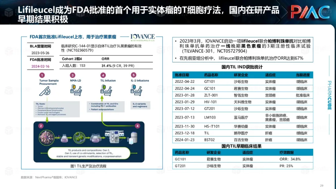 中国CGT行业发展趋势与挑战报告