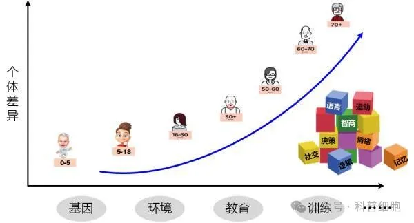 同样是回输干细胞，为什么有的人效果好有的人无感？