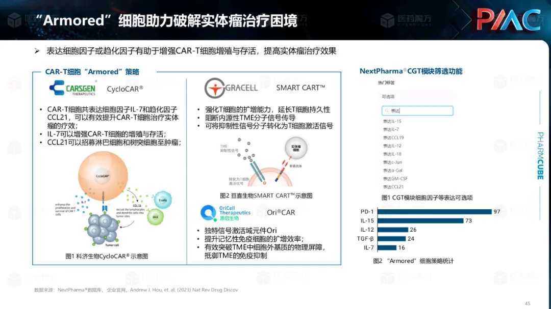 中国CGT行业发展趋势与挑战报告