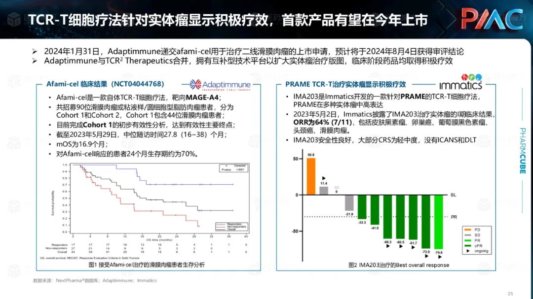 中国CGT行业发展趋势与挑战报告