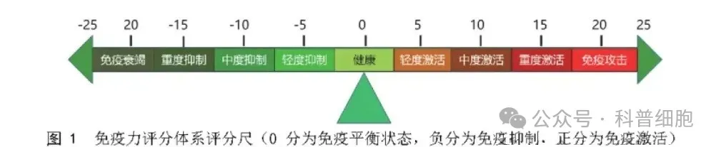 我国出台免疫细胞储存和治疗指导性意见！！！