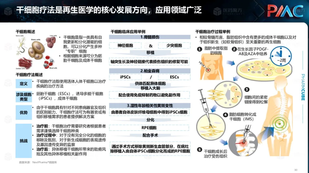 中国CGT行业发展趋势与挑战报告