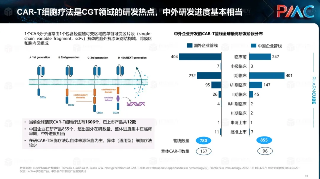 中国CGT行业发展趋势与挑战报告