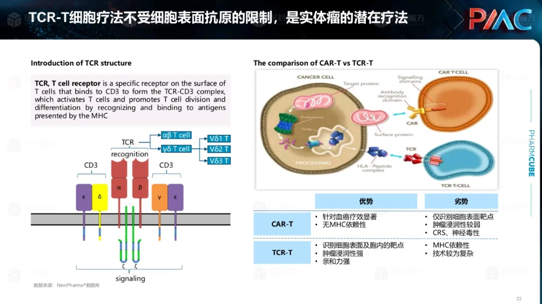 中国CGT行业发展趋势与挑战报告