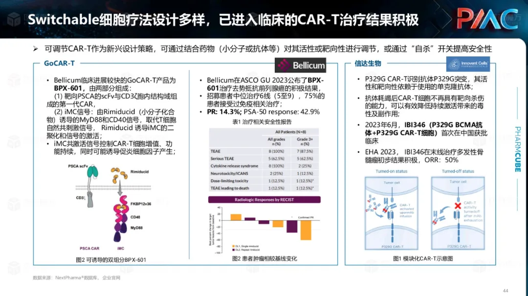 中国CGT行业发展趋势与挑战报告