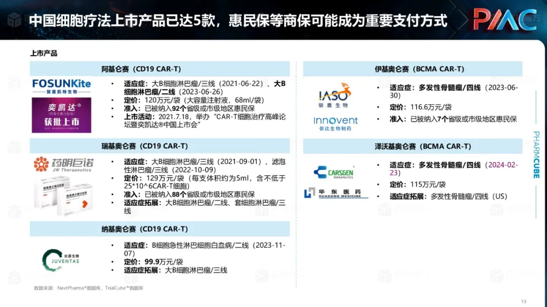 中国CGT行业发展趋势与挑战报告