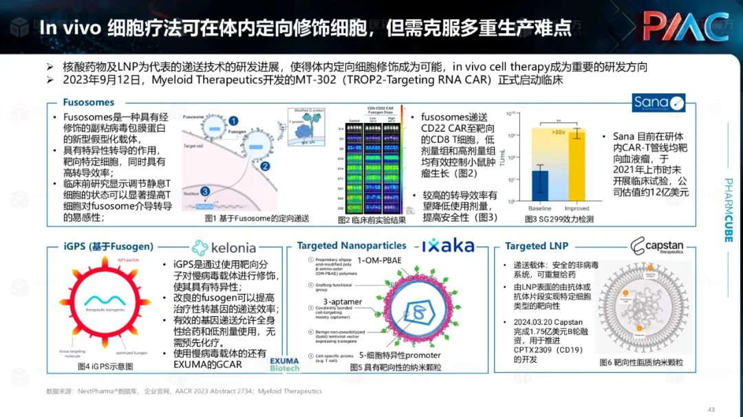 中国CGT行业发展趋势与挑战报告