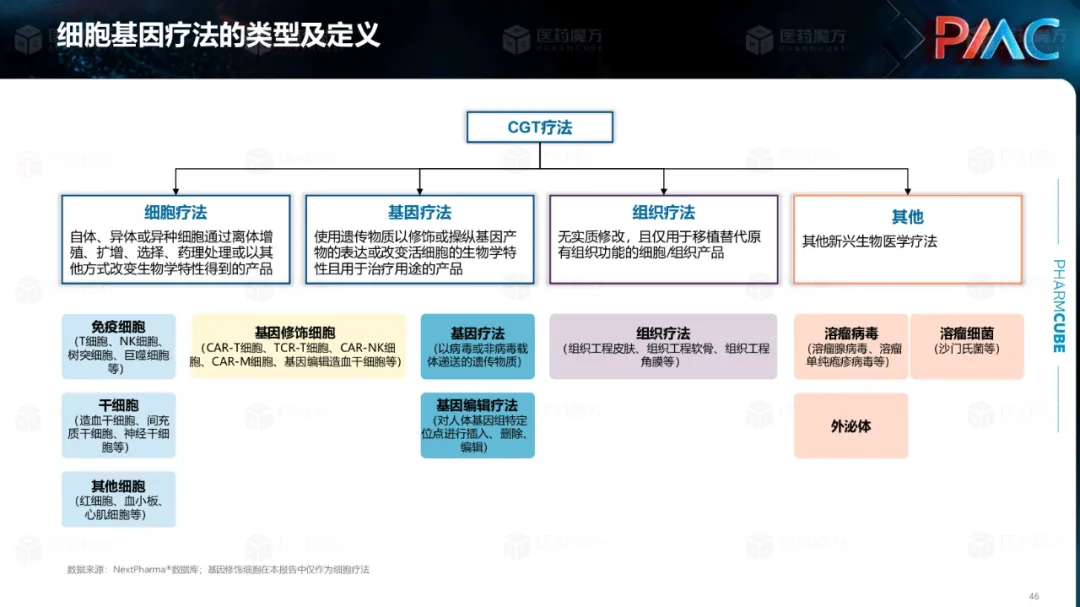 中国CGT行业发展趋势与挑战报告