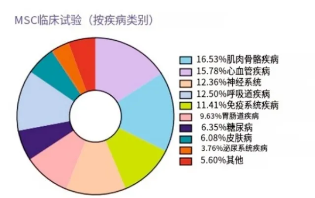 20岁、40岁和60岁的细胞PK：间充质干细胞的惊人区别