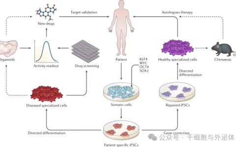 未来科学大奖：个人制备储存iPS细胞成为细胞治疗应用的主要趋势