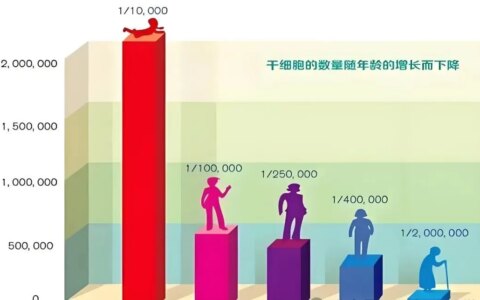 为什么高净值群体流行定期回输细胞？5大机制告诉你原因