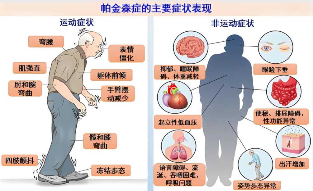 细胞抗衰老是通过输注特定数量的干细胞，激活人体自身的“自愈功能”