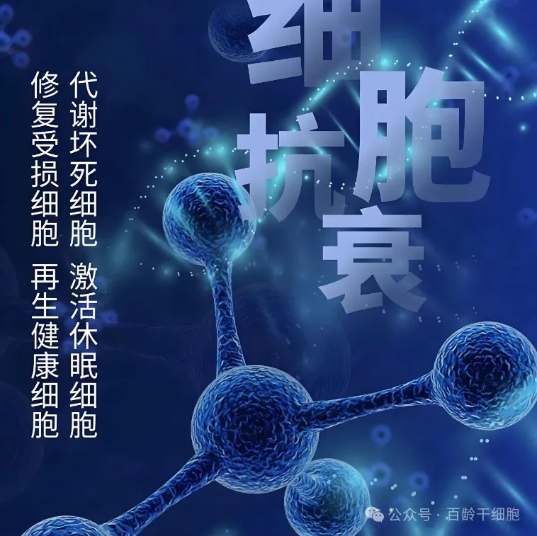 为什么越来越多的人开始打干细胞？揭秘干细胞进入人体后的“特殊能力”